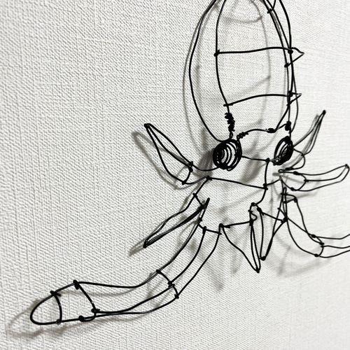 アオリイカ イカ 立体 壁掛け ワイヤーアート タペストリー・壁掛け