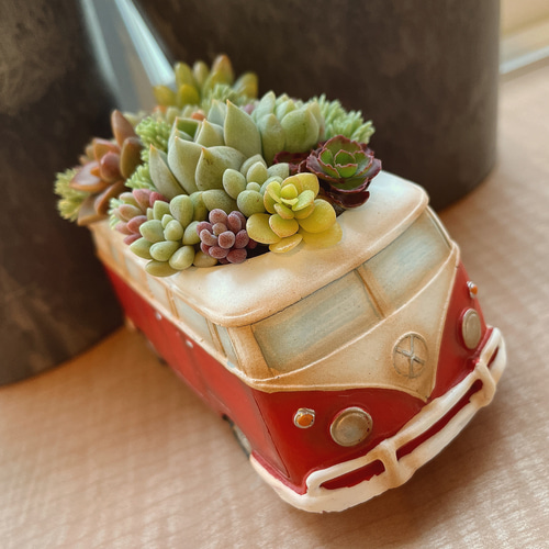 多肉 寄せ植え★flower bus-フラワーバス 水色★ ワーゲンバスの寄せ植え〜多肉植物/多肉植物寄せ植え/多肉植物寄植え