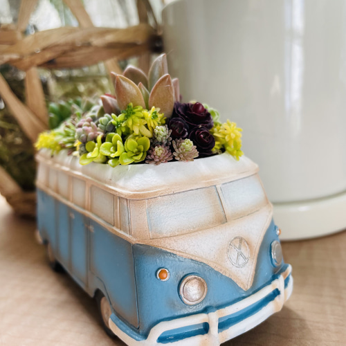 予約販売】母の日ギフト2025 〜ワーゲンバスの寄せ植え〜多肉植物 多肉