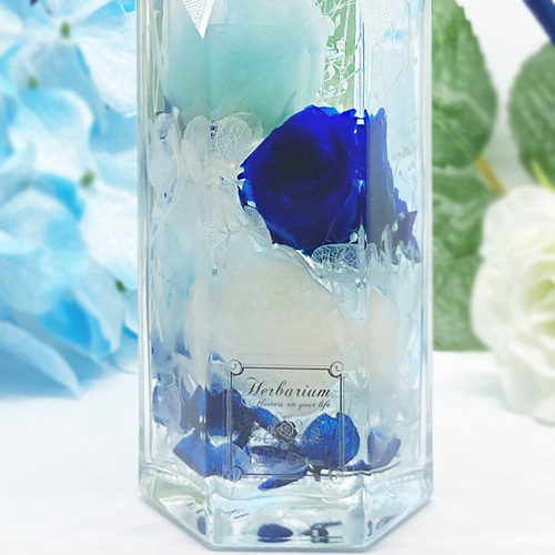 青薔薇 ハーバリウム 六角形ボトル～白薔薇 水色薔薇 本物の薔薇が3輪