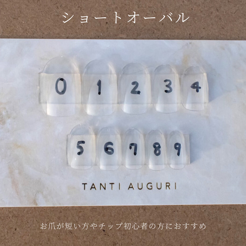 計測用ネイルチップ ネイルチップ（つけ爪） lisa 通販 15547138