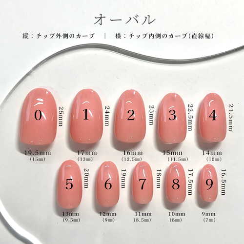 ひろ まつ ネイルチップ　測定チップ2種 ひろ まつ ネイルチップ 測定チップ2種 サイズ表/サイズ計測用