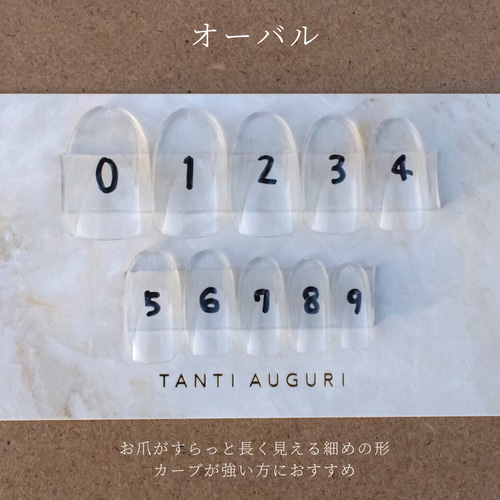 計測用ネイルチップ ネイルチップ（つけ爪） lisa 通販 15547138