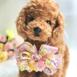 撮影アイテム】ハンドメイド 犬用チョーカー トリミングリボン