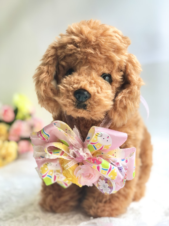 犬リボンチョーカー《イースターピンク》 犬猫アクセサリー 写真撮影