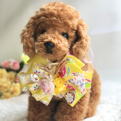 麦わら帽子Ꮮお好みカラー✗ホワイト犬・猫 プルメリア装飾❁handmade 麦わら帽子 ハチ ペット服・アクセサリー misato 通販 7124298