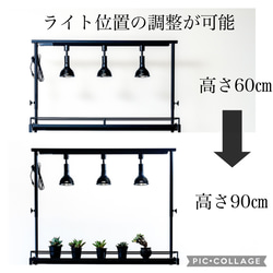 育成ライトが取り付けれる植物棚　ボタニカルシェルフ　アガベ　塊根　ライトレール 8枚目の画像