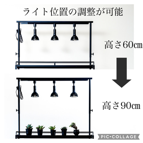 植物育成ライトセット一式　植物棚　シェルフ　レールスタンド　育成ライト　アガベ 楽天市場】ライトレールスタンド 卓上スタンド ライト 育成