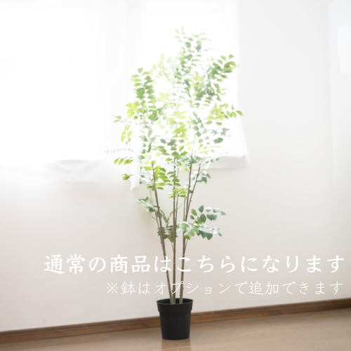 送料無料・トネリコ特大枝】お手入れ不要のサステナブルグリーン 