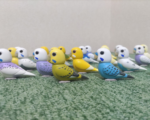 リクエストNO.2529☆セキセイインコ☆4点セット 5c9367f045186acdbe9b4594c23d13