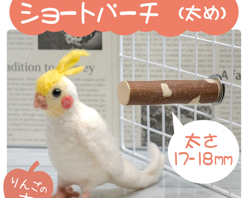インコちゃんの✩.*˚りんごの止まり木 ショートパーチ太め 17