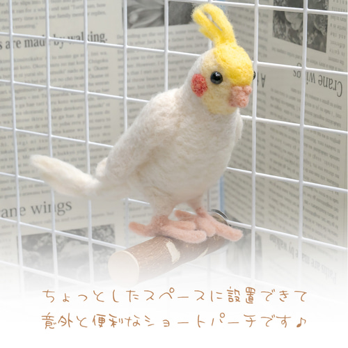 インコちゃんの✩.*˚りんごの止まり木 ショートパーチ太め 17-18mm