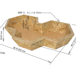  第5張的照片