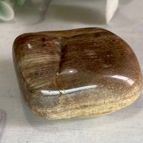 樹の化石✨珪化木 ペトリファイドウッド 原石 タンブル その他置物