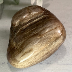 樹の化石✨珪化木　ペトリファイドウッド　原石　タンブル 3枚目の画像