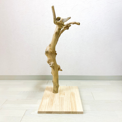 流木の止まり木】高さ約67cm！鳥 インコ 独特の節やねじれ枝が