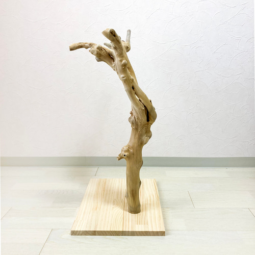 流木 止まり木 約82センチ 流木 止まり木 約82センチ 【公式通販】