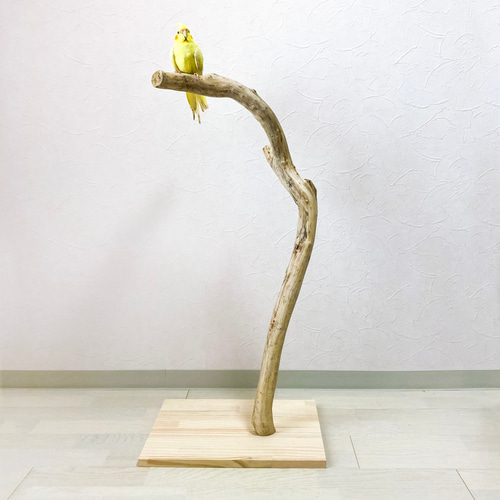 止まり木(大型オウム&インコ用) Amazon.co.jp: 鳥用止まり木爪とぎパーチ爪を磨自然木インコ