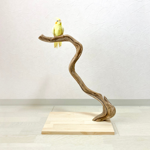 流木の止まり木】高さ約83cm！大型 鳥 インコ シンプルな止まり