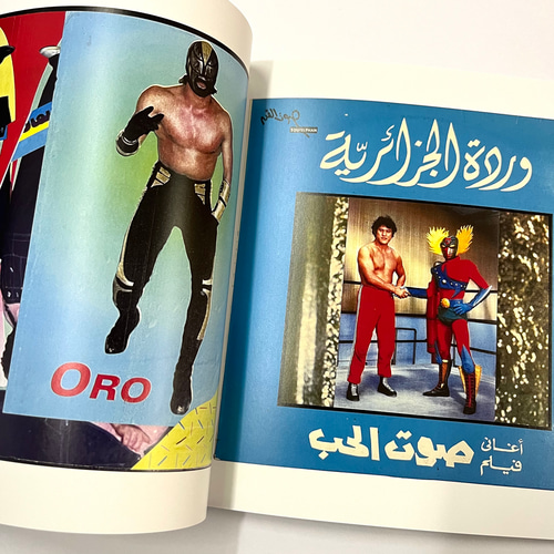 特典付き‼️ 五木田智央 Tomoo Gokita 限定ZINE 特典付き‼️ 五木田智央 Tomoo Gokita 限定ZINE WORKS COPYRIGHT