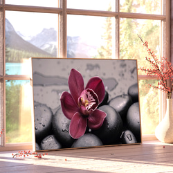モダン フラワーアート Spa ブラックストーン Orchid  / インテリアポスター 海外アート / 4711 4枚目の画像