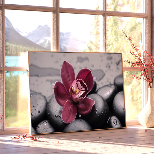 植物の世界 胡蝶蘭 アートパネル ナチュラル ボタニカル