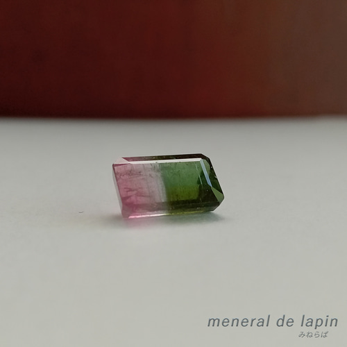 バイカラー トルマリン ルース 3.81カラット 天然石 mineral de lapin ...