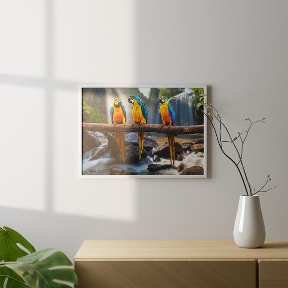 ゴージャス カラフル オウム Parrot  / インテリアポスター 海外アート / 4713 3枚目の画像
