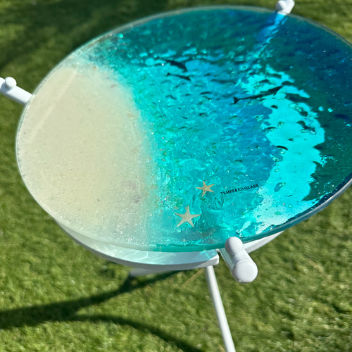 新色 夜光虫ターコイズブルーの海ホワイトビーチ イルカの親子 ガラス