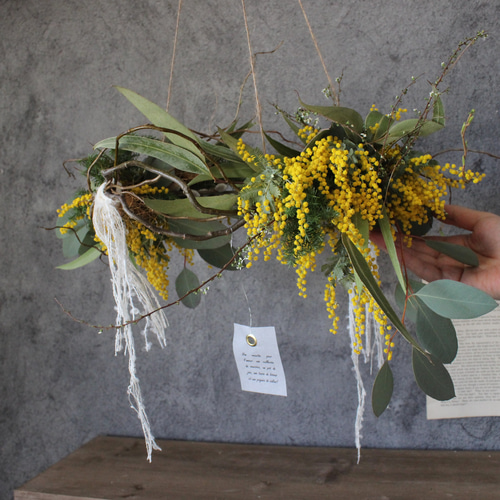 ミモザフライングリース2