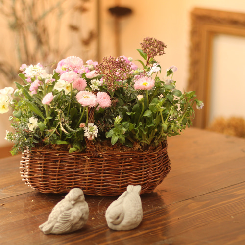 寄せ植え　花■季節の花のブリコラージュフラワー 季節の寄せ植えブリコラージュフラワー その他インテリア雑貨 atelier