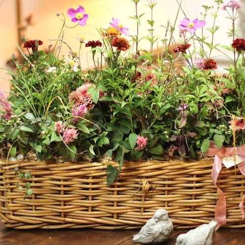 季節の寄せ植えブリコラージュフラワー その他インテリア雑貨 atelier