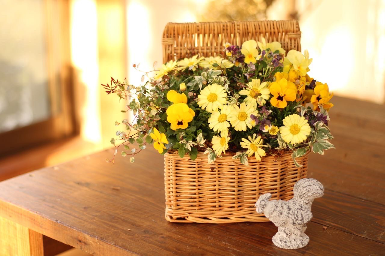 季節の寄せ植えブリコラージュフラワー その他インテリア雑貨 atelier