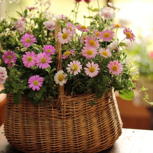 季節の寄せ植えブリコラージュフラワー その他インテリア雑貨 atelier