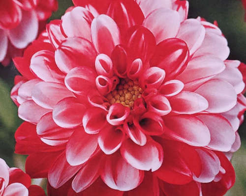 29f808af04bca85e7d531e5d397376