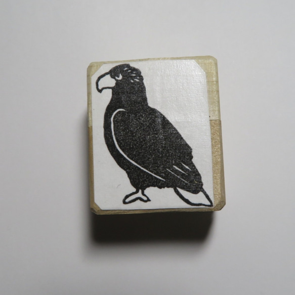 鳥の消しゴムはんこ オジロワシ はんこ・スタンプ ことりこ 通販