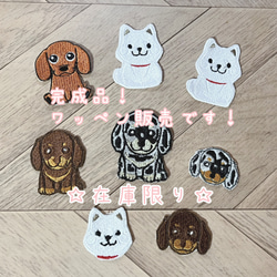 完成品！　ワッペン 【大】  刺繍 アップリケ 犬 アップリケ  ダックス　柴犬 1枚目の画像