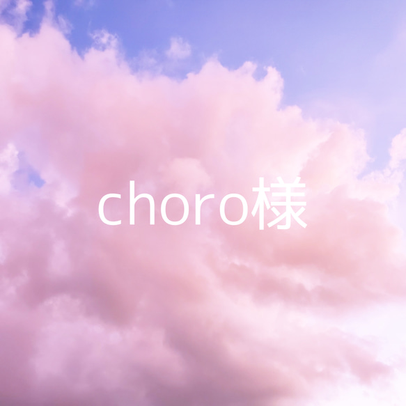 choro様専用 1枚目の画像