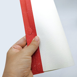 簡易ふくさ / 赤5枚セット / ふところ袋 / 和装 袱紗 月謝入れ お祝い お礼 5枚目の画像