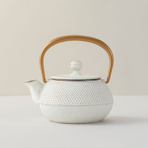 アラレ3号　 岩鋳】南部鉄器 急須3型新アラレ