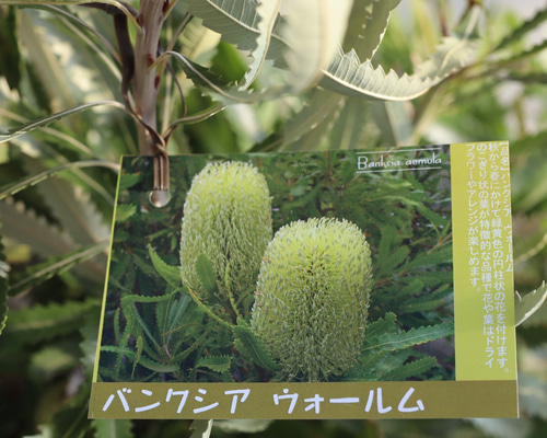 b4e75ab9d7d2ab1afa51ab4dc7d792