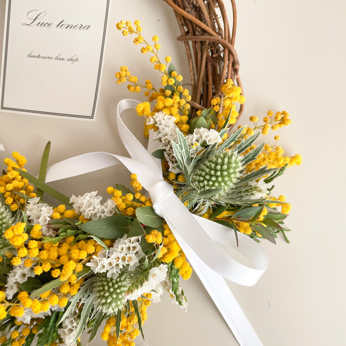 早割】フレッシュミモザのハーフリース ミモザリース ミモザ