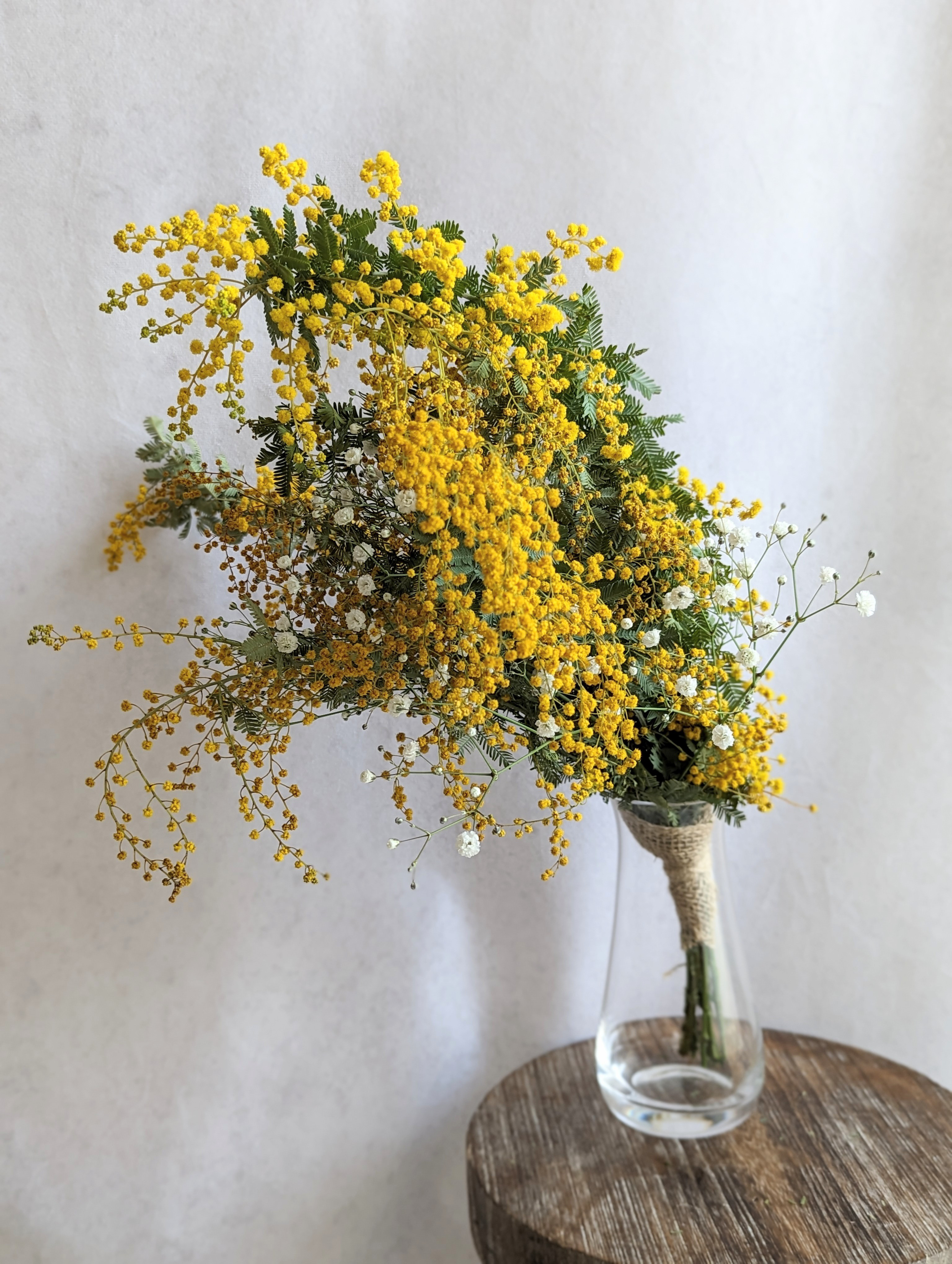 選べるガラスベース付き！ミモザとかすみ草のドライフラワーアレンジメント　LL