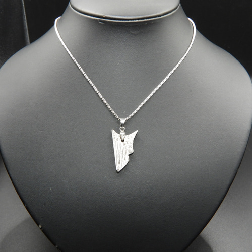 宇宙の記憶！生から作ったギベオン隕石系の特大アルタイ隕石ペンダント