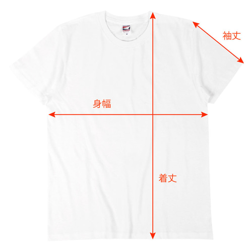 希少　エリマキトカゲ　シャツ エリマキトカゲのTシャツS,M,Lホワイト Tシャツ まくお雑貨店 通販