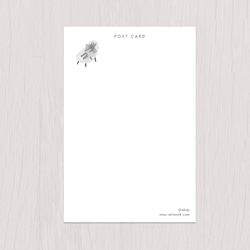 ポストカード2枚セット　赤い猫と青い鳥「ハルとソラ」No.2023-02 6枚目の画像