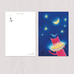 ポストカード2枚セット　赤い猫と青い鳥「ハルとソラ」No.2023-12 2枚目の画像