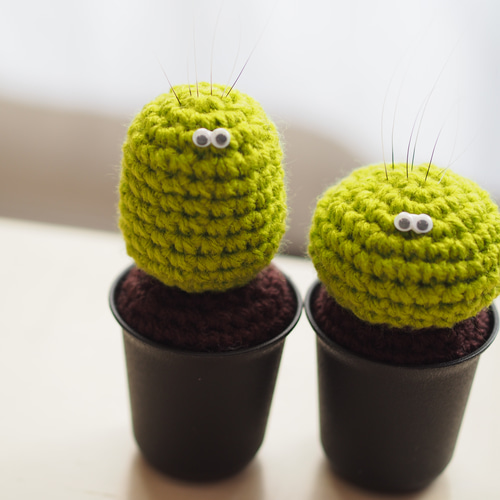 猫の髭山 あみぐるみ サボテンモンスター(中サイズ) その他インテリア