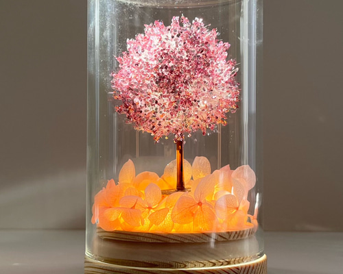 d967b03e1912ee72c1a854b737d01b