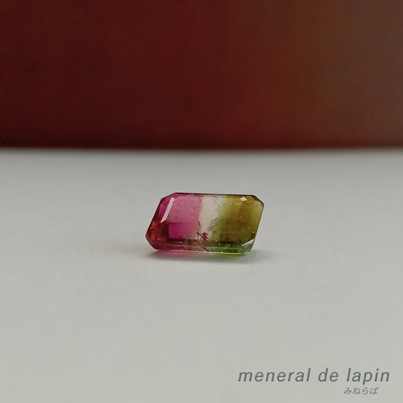 天然バイカラートルマリン ルース 3.332ct（鑑別書つき）の通販